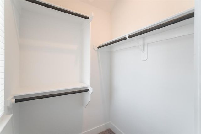 17723 Tree Of Heaven, Conroe, TX 77385