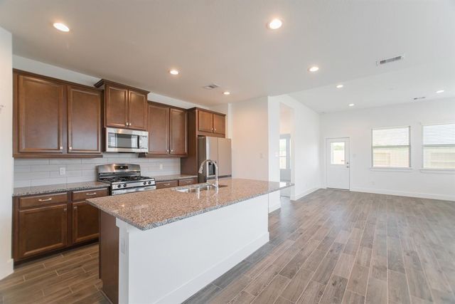 17723 Tree Of Heaven, Conroe, TX 77385