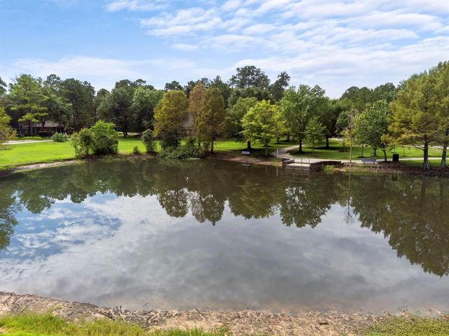 204 N Mill Trace Drive, The Woodlands, TX 77381