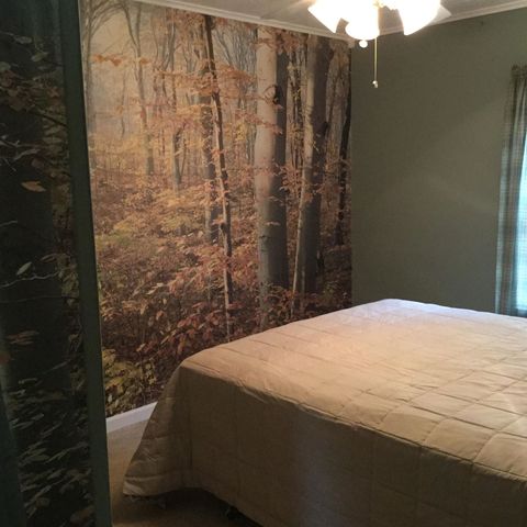 3335 West Lake Road, Wells, VT 05774