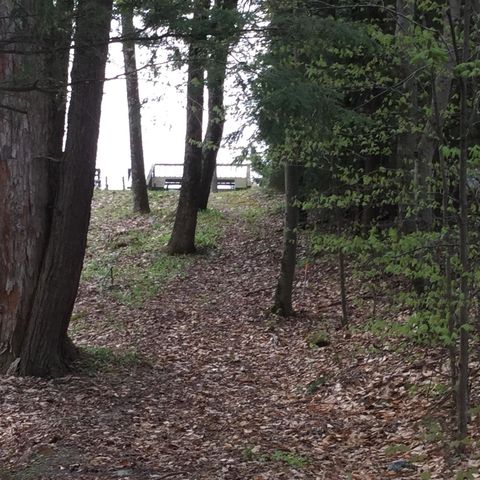 3335 West Lake Road, Wells, VT 05774