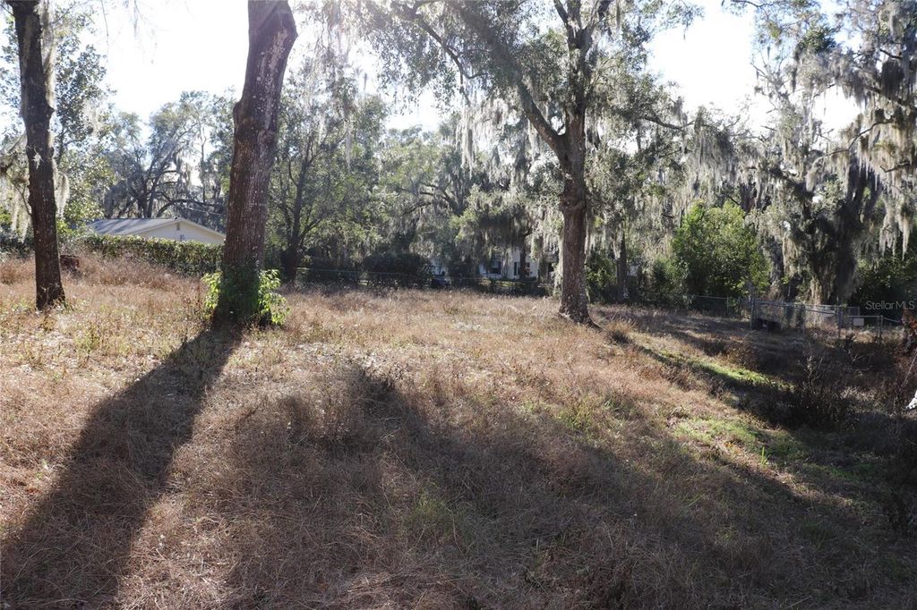 Image 25 of property listing at 401 S PINE AVENUE, Inverness, FL 34452