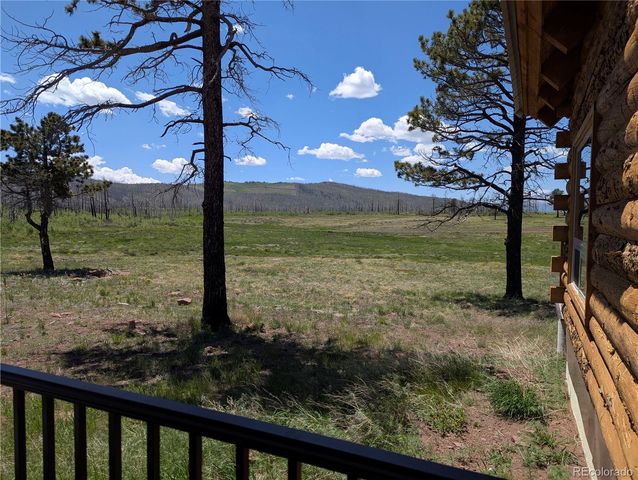 1456 Von Heyl Lane, Fort Garland, CO 81133