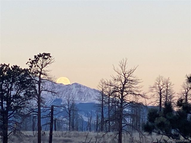 1456 Von Heyl Lane, Fort Garland, CO 81133