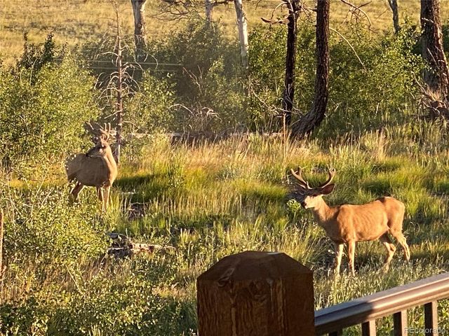 1456 Von Heyl Lane, Fort Garland, CO 81133