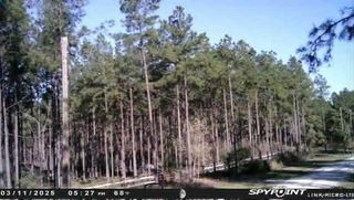 000 Richardson Road E, Livingston, TX 77351