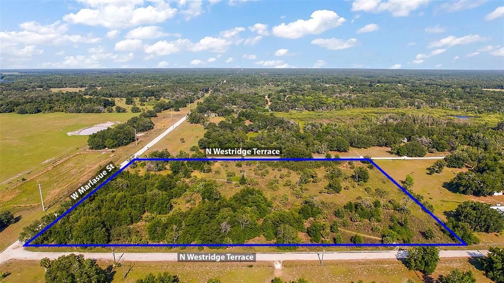 9807 N WESTRIDGE TERRACE, Crystal River, FL 34428