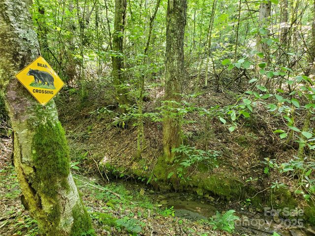 5023 Elk Park Highway, Elk Park, NC 28622