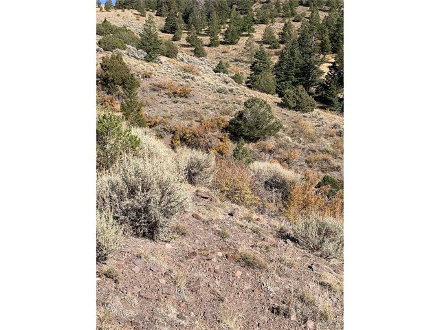 5079 Delancey Rd, Fort Garland, CO 81133