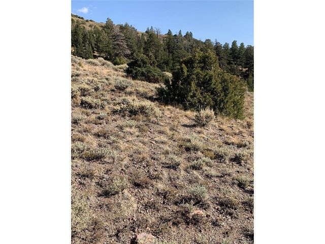 5079 Delancey Rd, Fort Garland, CO 81133