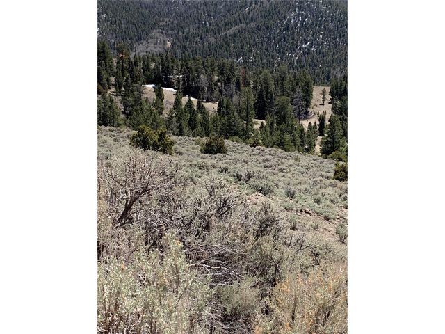 5079 Delancey Rd, Fort Garland, CO 81133