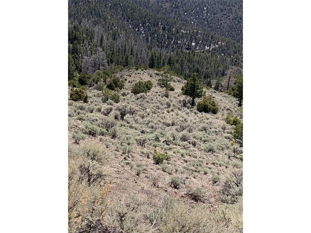 5079 Delancey Rd, Fort Garland, CO 81133