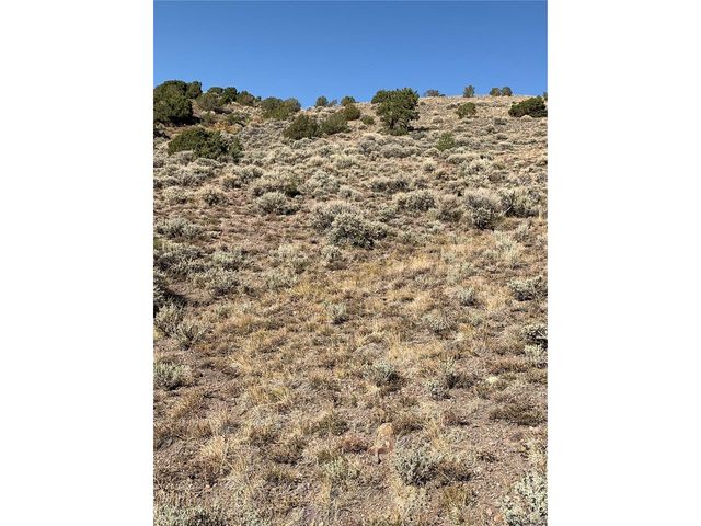 5079 Delancey Rd, Fort Garland, CO 81133