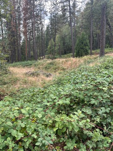 478 Carol Dr, Grass Valley, CA 95945