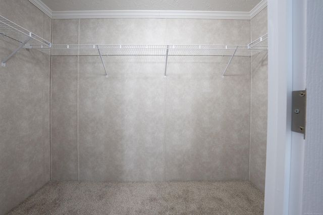 250 Riviera Drive, Lapeer, MI 48446