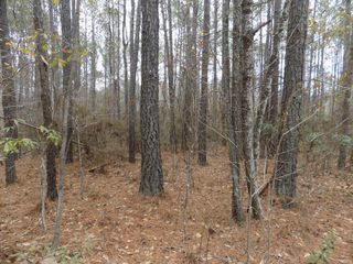 00 Mullins Road, Hamilton, GA 31811