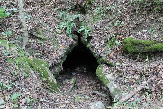 1721 Matney Hollow Road, Seymour, MO 65746