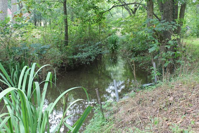 1721 Matney Hollow Road, Seymour, MO 65746