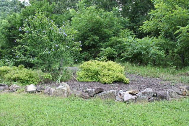 1721 Matney Hollow Road, Seymour, MO 65746