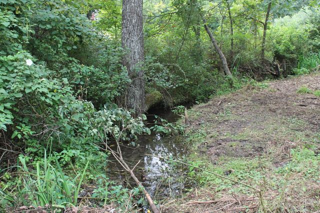 1721 Matney Hollow Road, Seymour, MO 65746