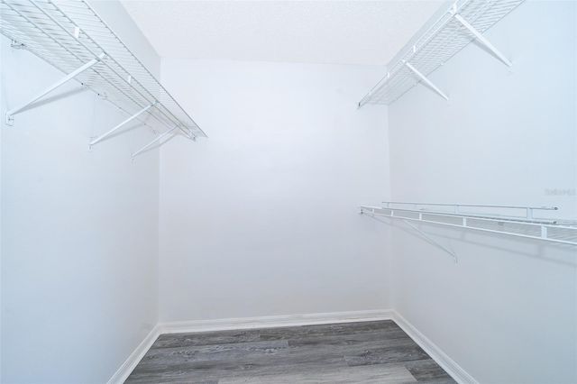 7304 HIGH LAKE DRIVE, Orlando, FL 32818