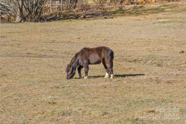 73 The Old Run Road, Fairview, NC 28730