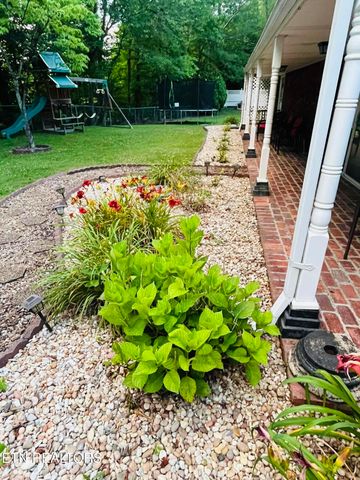 242 Adams Lane, Jellico, TN 37762