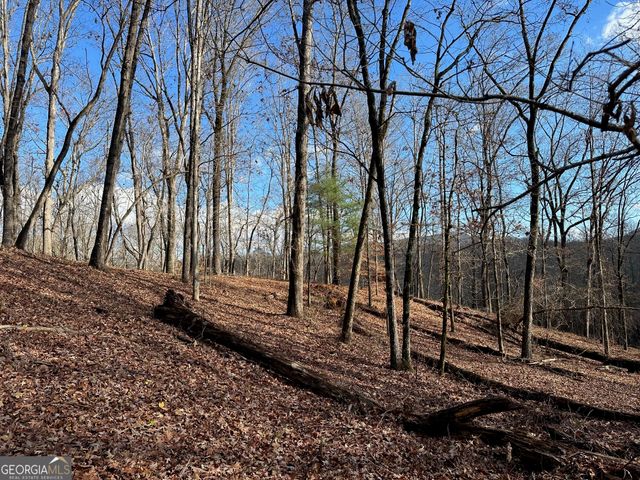 200 Mincey Acres Drive, Murrayville, GA 30564