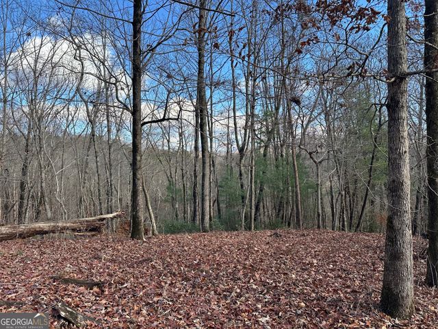 200 Mincey Acres Drive, Murrayville, GA 30564