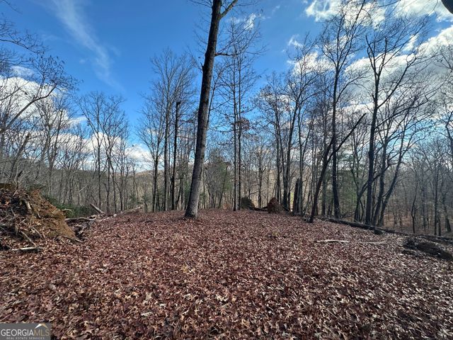 200 Mincey Acres Drive, Murrayville, GA 30564