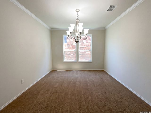 13911 PERSIMMON CV, San Antonio, TX 78245