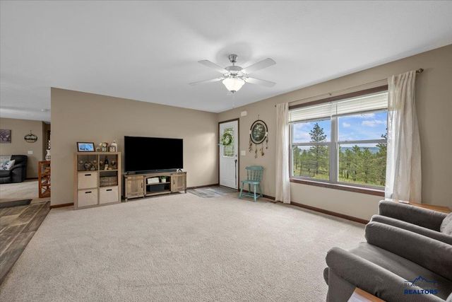 11285 BLUE RIDGE RD, Piedmont, SD 57769