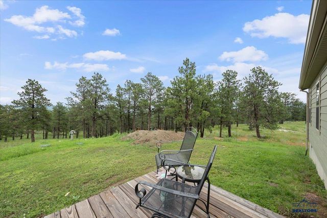 11285 BLUE RIDGE RD, Piedmont, SD 57769