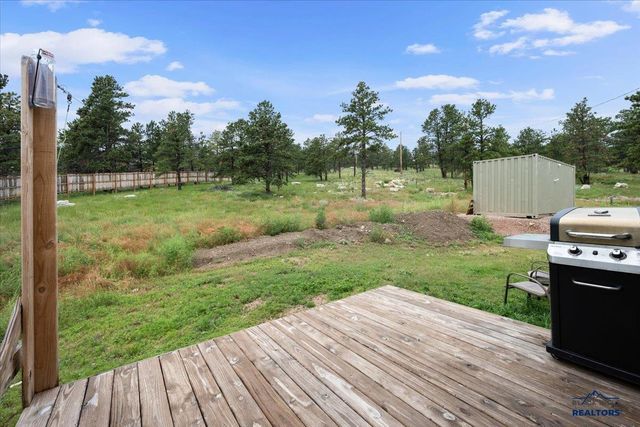 11285 BLUE RIDGE RD, Piedmont, SD 57769