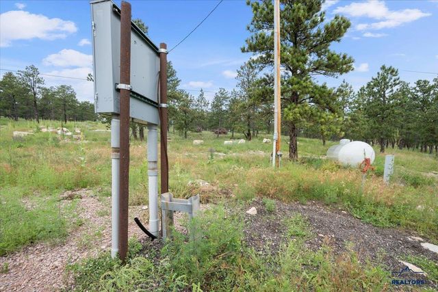 11285 BLUE RIDGE RD, Piedmont, SD 57769