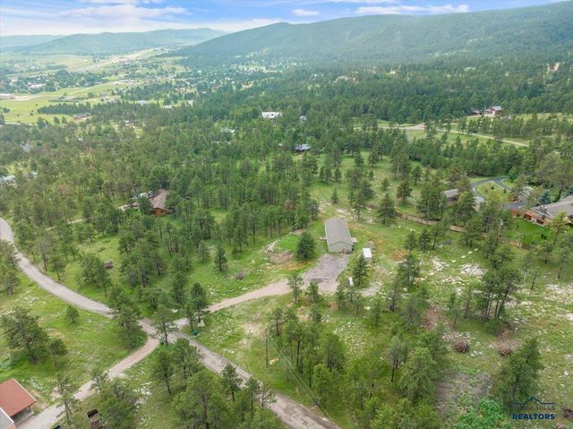 11285 BLUE RIDGE RD, Piedmont, SD 57769