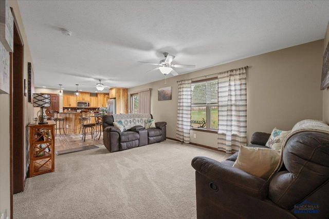 11285 BLUE RIDGE RD, Piedmont, SD 57769