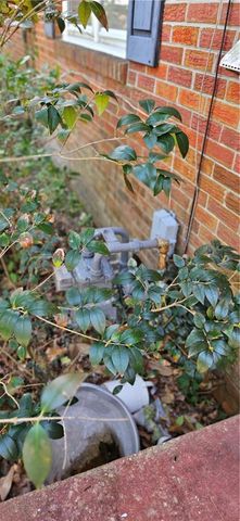 314 Rockbridge RD, Portsmouth, VA 23707