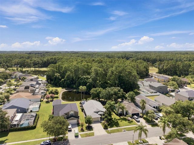 13108 ROYAL GEORGE AVE, Odessa, FL 33556