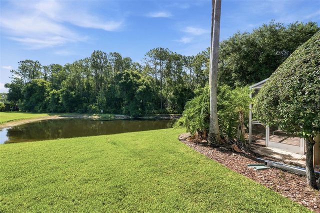 13108 ROYAL GEORGE AVE, Odessa, FL 33556