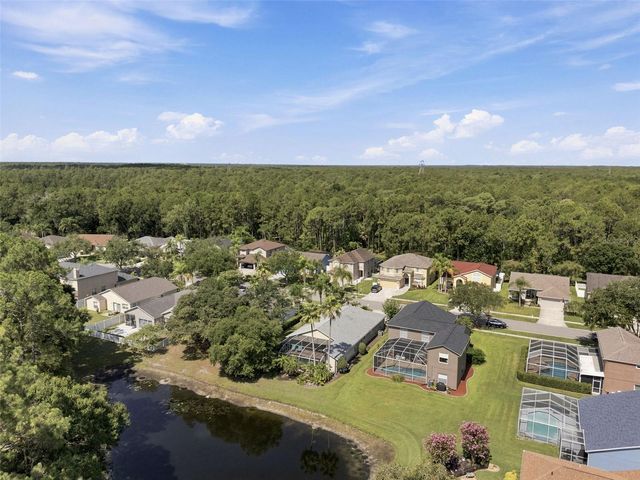 13108 ROYAL GEORGE AVE, Odessa, FL 33556