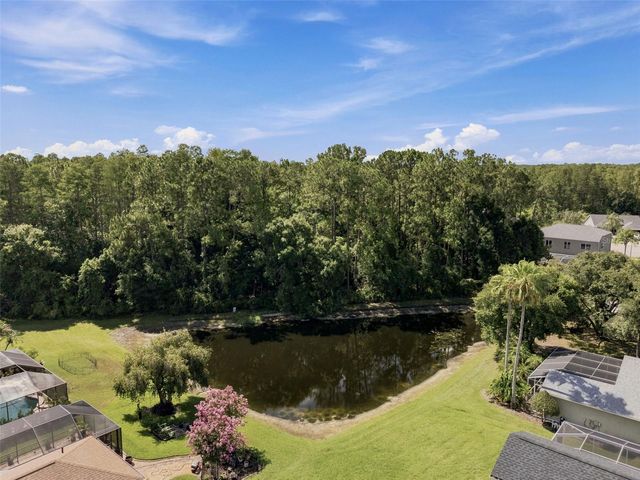 13108 ROYAL GEORGE AVE, Odessa, FL 33556