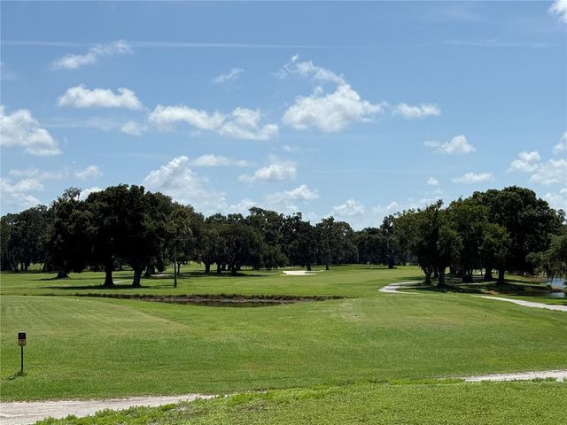 13108 ROYAL GEORGE AVE, Odessa, FL 33556