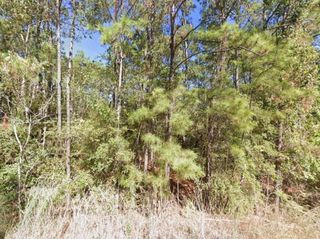 0 Creekside Harbor, Onalaska, TX 77360