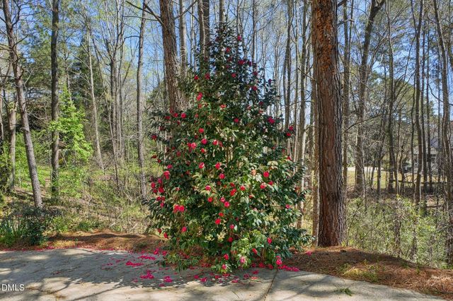 120 Kelsey Court, Clayton, NC 27520