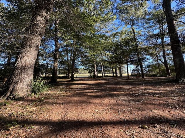 TBD Magnolia Drive, Conroe, TX 77303