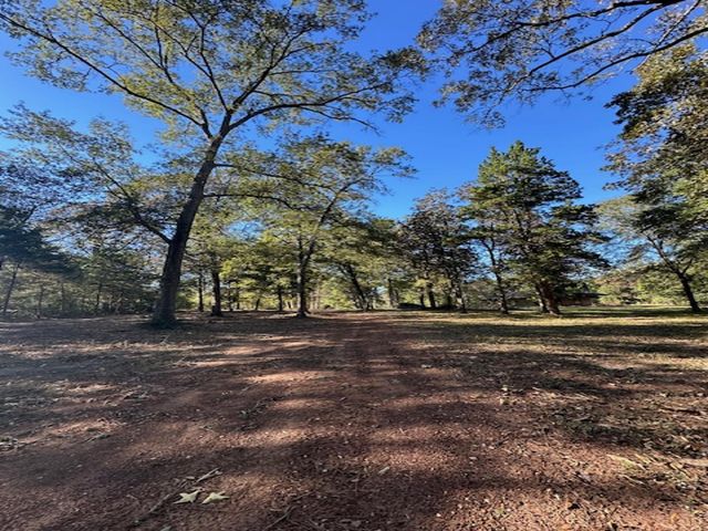 TBD Magnolia Drive, Conroe, TX 77303