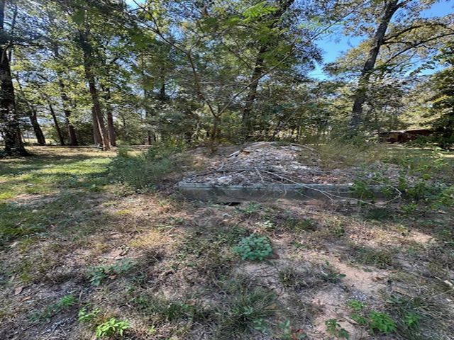 TBD Magnolia Drive, Conroe, TX 77303