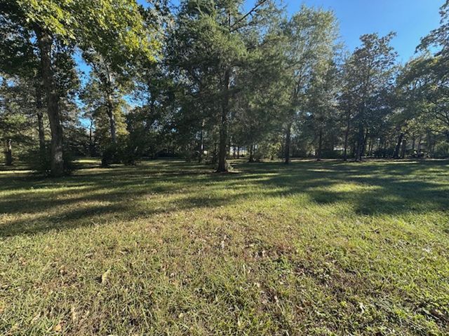 TBD Magnolia Drive, Conroe, TX 77303