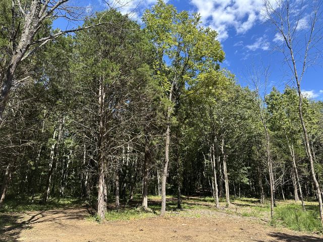 0 Atkinson Rd, Lebanon, TN 37090